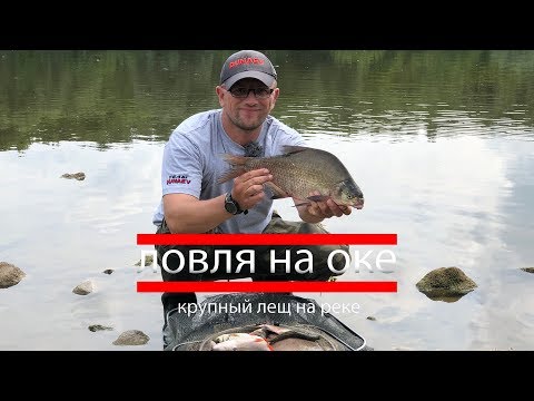 Видео: Ловля крупного леща на Оке