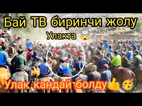 Видео: Чаңгеттеги Улак аябай кызыды!🥳