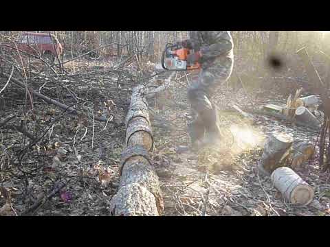 Видео: ЕДУ на НИВЕ В ДЕЛЯНУ, за сушняком.