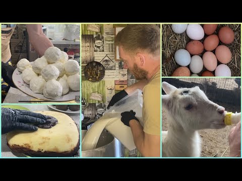 Видео: КАТАЮ ШАРЫ, ПИНАЮ 🫢