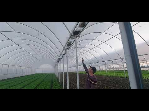 Видео: Как быстро избавиться от снега на блочной теплице. How to get rid of snow in a block greenhouse.