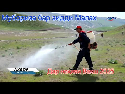 Видео: Мубориза бар зидди Малах дар ноҳияи Вахш