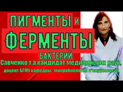 Видео: Пигменты и Ферменты  бактерий