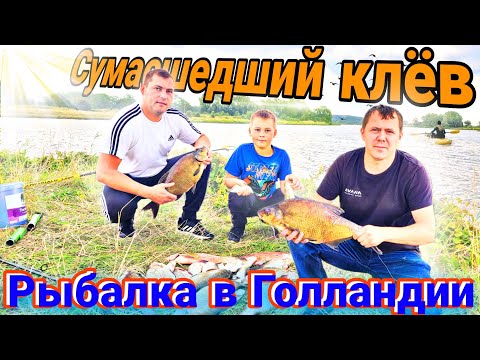 Видео: Рыбалка в Голландии с сыном и с другом! Поймали много рыбы.