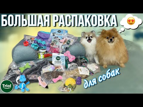 Видео: Зоораспаковка товаров TRIOL и Gamma для собак. Лучшие новинки ❤️‍🔥🐾🐶