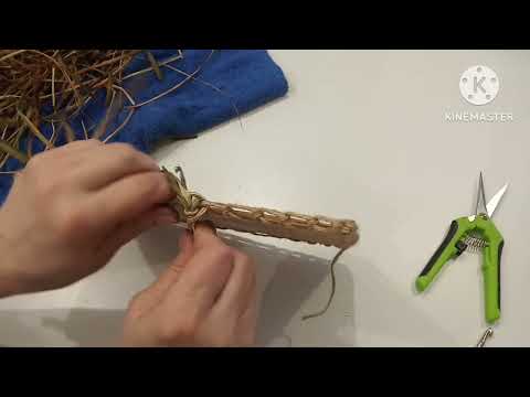 Видео: Остались сухие листья ириса .