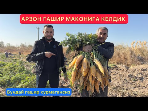 Видео: АРЗОН ГАШИР МАКОНИГА КЕЛДИК 08.11.2025