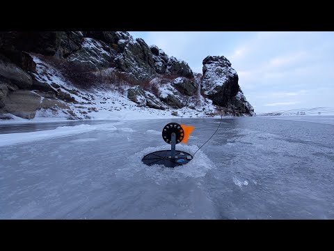 Видео: Первый лёд на ИРИКЛЕ 19.11.21. Щука на жерлицы.