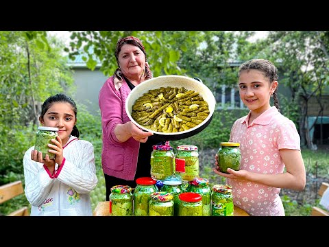 Видео: Бабушка приготовила долму с виноградными листьями и сделала консервы из виноградных листьев!