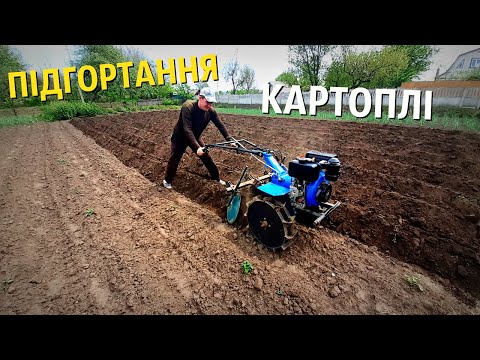 Видео: ПІДГОРТАННЯ КАРТОПЛІ МОТОБЛОКОМ КЕНТАВР 6лс / ОКУЧИВАНИЕ КАРТОФЕЛЯ МОТОБЛОКОМ КЕНТАВР/ВАНЬОК