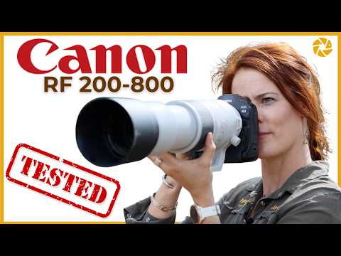 Видео: Canon RF 200-800 | Полевые испытания и первые впечатления