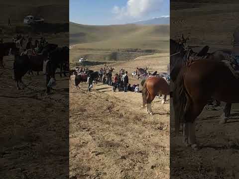Видео: 26 августа 2025 г.