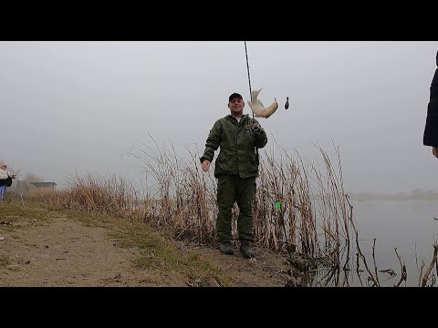 Видео: Рыбалка возле дома Самое вкусное блюдо из сома