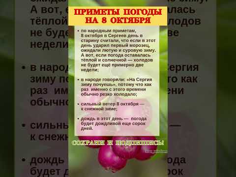 Видео: 8 ОКТЯБРЯ - ПРИМЕТЫ ПОГОДЫ #shorts #приметы #погода #народныйпраздниксегодня
