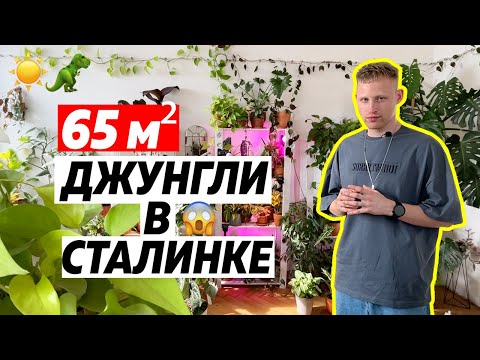 Видео: РумТур: НАСТОЯЩИЕ ДЖУНГЛИ В СТАЛИНКЕ с видом на КРЕМЛЬ. Urban Jungle трешка. Дизайн интерьера