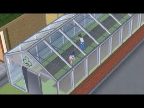 Видео: Давайте начнем домашний сад!