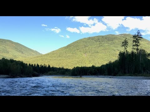 Видео: Лодки Абакан Jet. Малый Абакан 2018 Часть 2.