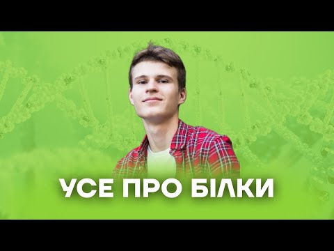 Видео: Усе про білки | Біологія ЗНО