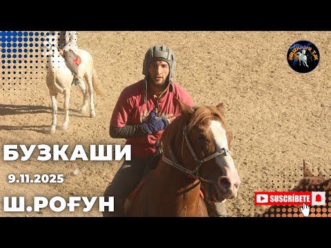 Видео: Бузкаши 9.11.2025 ш.Роғун