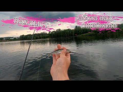 Видео: Нахлыст. Потуги Новичка. Работа над ошибками. Ловля Ельца и Уклейки
