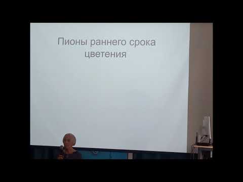 Видео: Пионы. Особенности выращивания. Новинки.