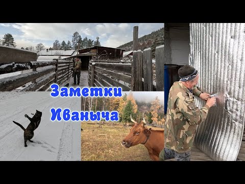 Видео: Повтор ролика: Утепляемся к зиме, в мире животных