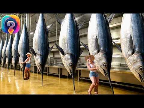 Видео: Как МИЛЛИОНЫ меч-рыб  ловят и перерабатывают — удивительный процесс в гигантских  фабриках!