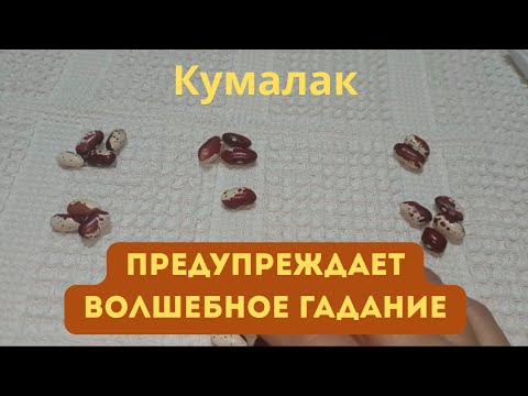 Видео: Кумалак Предупреждает!!!Гадание на бобах.