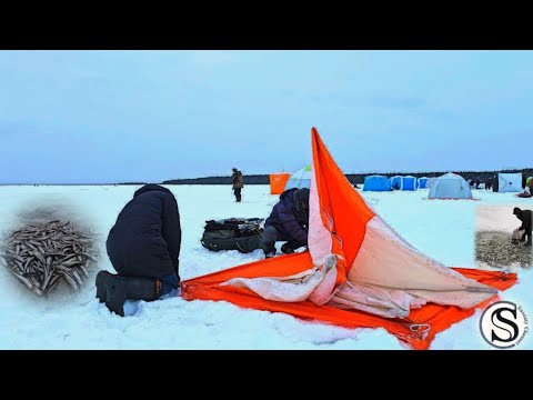 Видео: Рыбалка на Сахалине. Как я ловил корюшку🐟 о.Буссе. Подробная инструкция от профи.