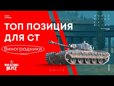 Видео: Топ позиции для СТ на карте Виноградники | WoT Blitz