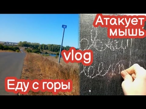 Видео: VLOG Мышь на потолке. Еду в школу