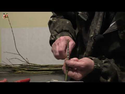 Видео: Прививка яблонь! Реально простой способ! Часть1.