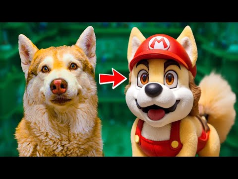 Видео: НИКОГДА НЕ ИГРАЙ В СУПЕРМАРИО в 3 часа НОЧИ! Лучшие серии Хаски Бублика