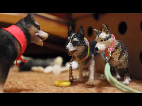 Видео: Вольная Упряжка 2 серия