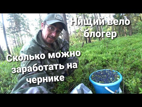 Видео: Нищий вело блогер. Сколько можно заработать на сборе черники. Заработок в велопутешествии.