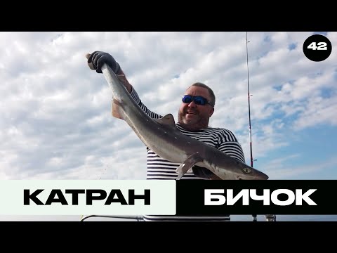 Видео: Катран та Бичок з Човна | Трофей на Морі №42