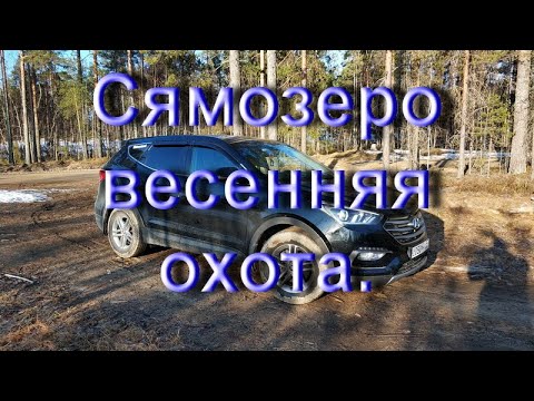 Видео: Сямозеро 2019