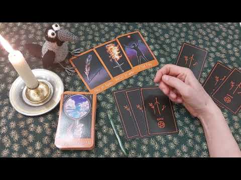 Видео: Бумеранг подкрался незаметно.