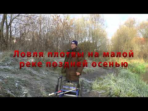 Видео: Ловля плотвы на малой реке поздней осенью