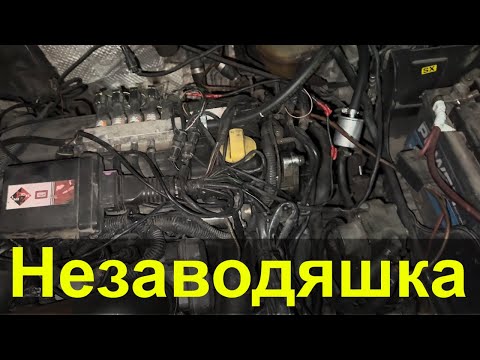 Видео: Незаводяшка. Лягла висока кан-шина