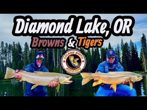 Видео: Даймонд-Лейк, Орегон Браунс и Тигровая форель Ловля