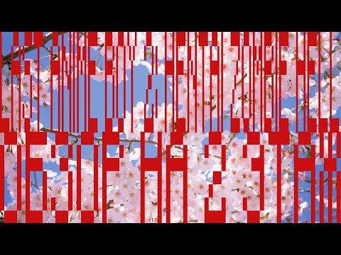 Видео: Let's Play: Last Anime Boy 2: Hentai Zombie Hell - 2,5 часть.