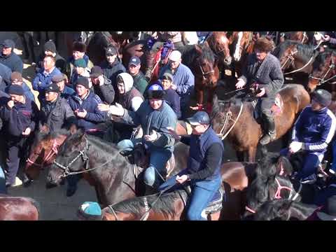 Видео: Астана Нуркен мырзанын кокпары Шардара 03.03.2018 Часть-1