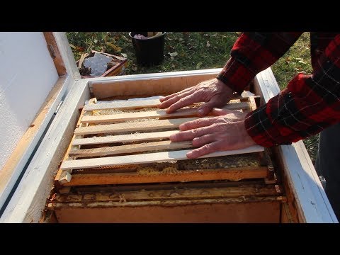Видео: Окончательная сборка гнезд в зиму | Как положить рамку сверху
