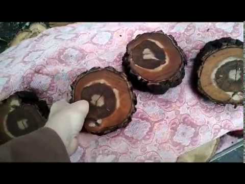 Видео: КАК Я ВАРЮ ДРЕВЕСИНУ В СОЛЯНОМ РАСТВОРЕ? Cook wood for quick drying.