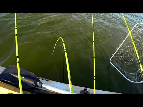 Видео: ВСТАЛИ НА ГЛУБИНУ 20м И НАЧАЛОСЬ КРУПНЫЙ САЗАНА СОМ рыбалка на сома и сазана