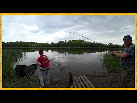 Видео: Донские Караси - Отдай Фидер. Отдыхаем Семьями, Коптим Рыбу, Рассольник на Костре