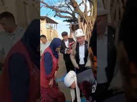 Видео: Беш буркан пата той