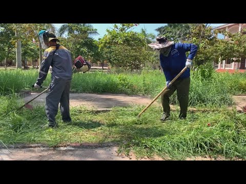 Видео: Навести порядок в школьном дворе моего детства - бросающееся в глаза преображение