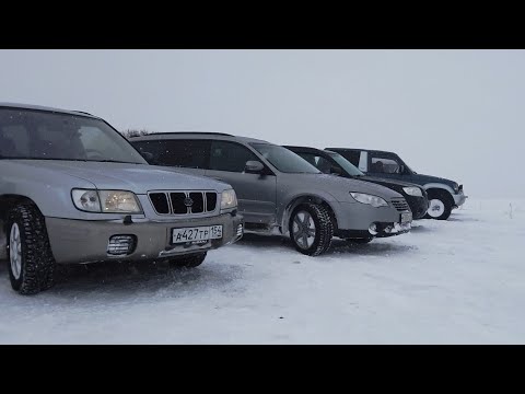 Видео: Forester? Outback? Pajero? Снова метель, но мы едем! А кто доедет сам? Subaru offroad